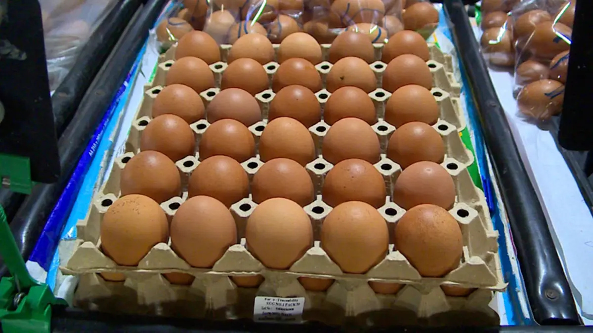 16 บาทต่อแผง! ราคาไข่ไก่พุ่งรับหน้าร้อน เบอร์ 0 แตะแผงละ 125 บาท