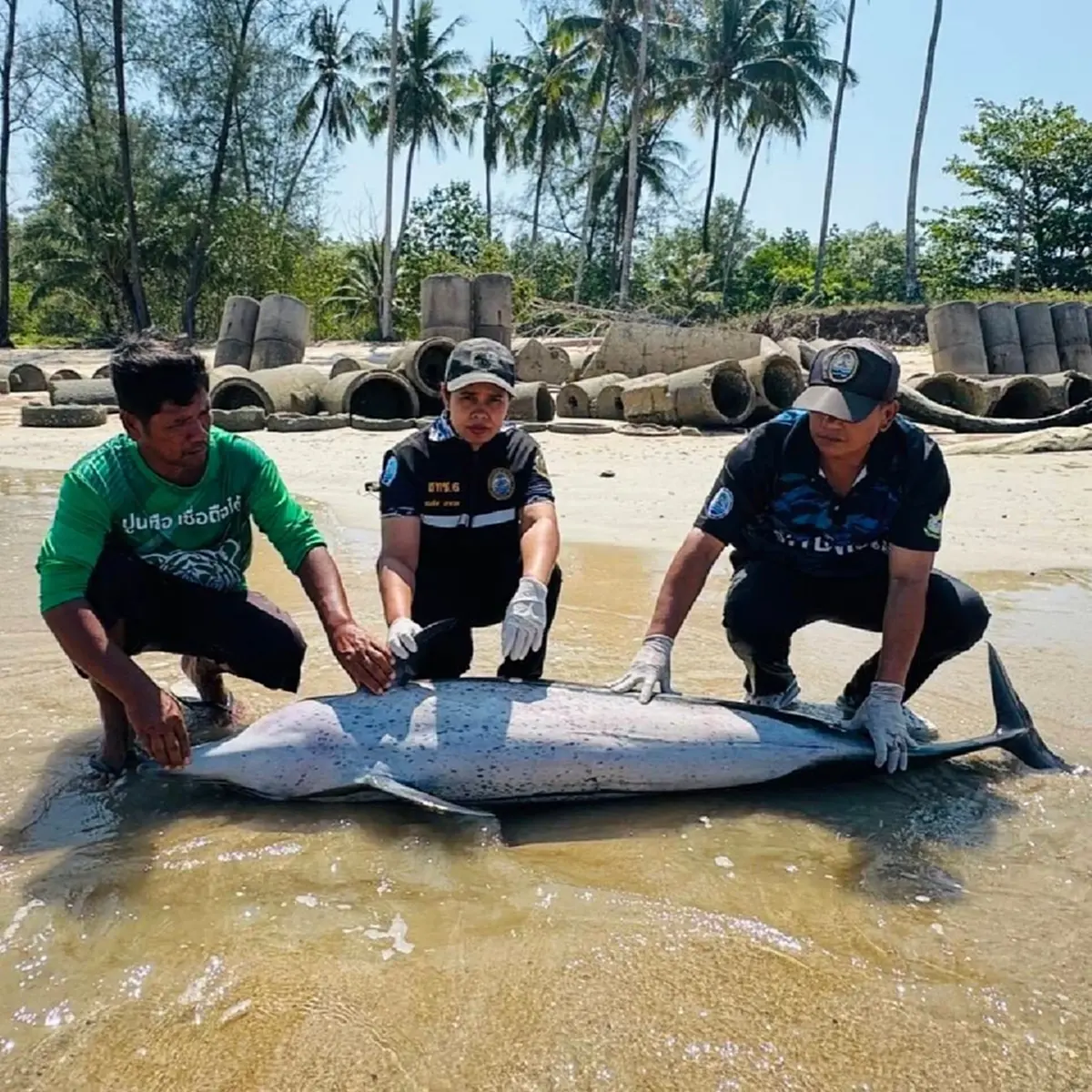 สลดหนักอีก สูญเสียสุดเศร้า ร่างไร้วิญญาณริมหาด หาสาเหตุด่วน