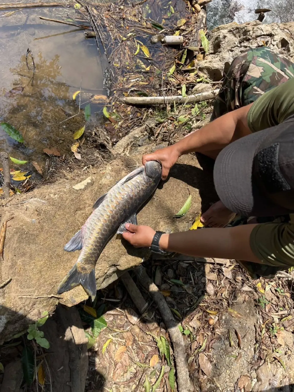 วิกฤตปางมะผ้า! ปลาแม่น้ำลางตายปริศนา สั่งห้ามกินเด็ดขาด