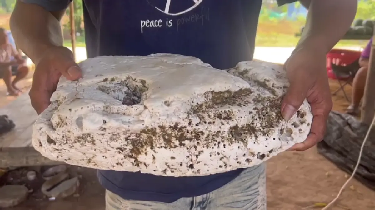 หนุ่มระยอง! พบอ้วกวาฬยักษ์หนัก 5.6 กก. ลอยเกยหาดทะเลงาม