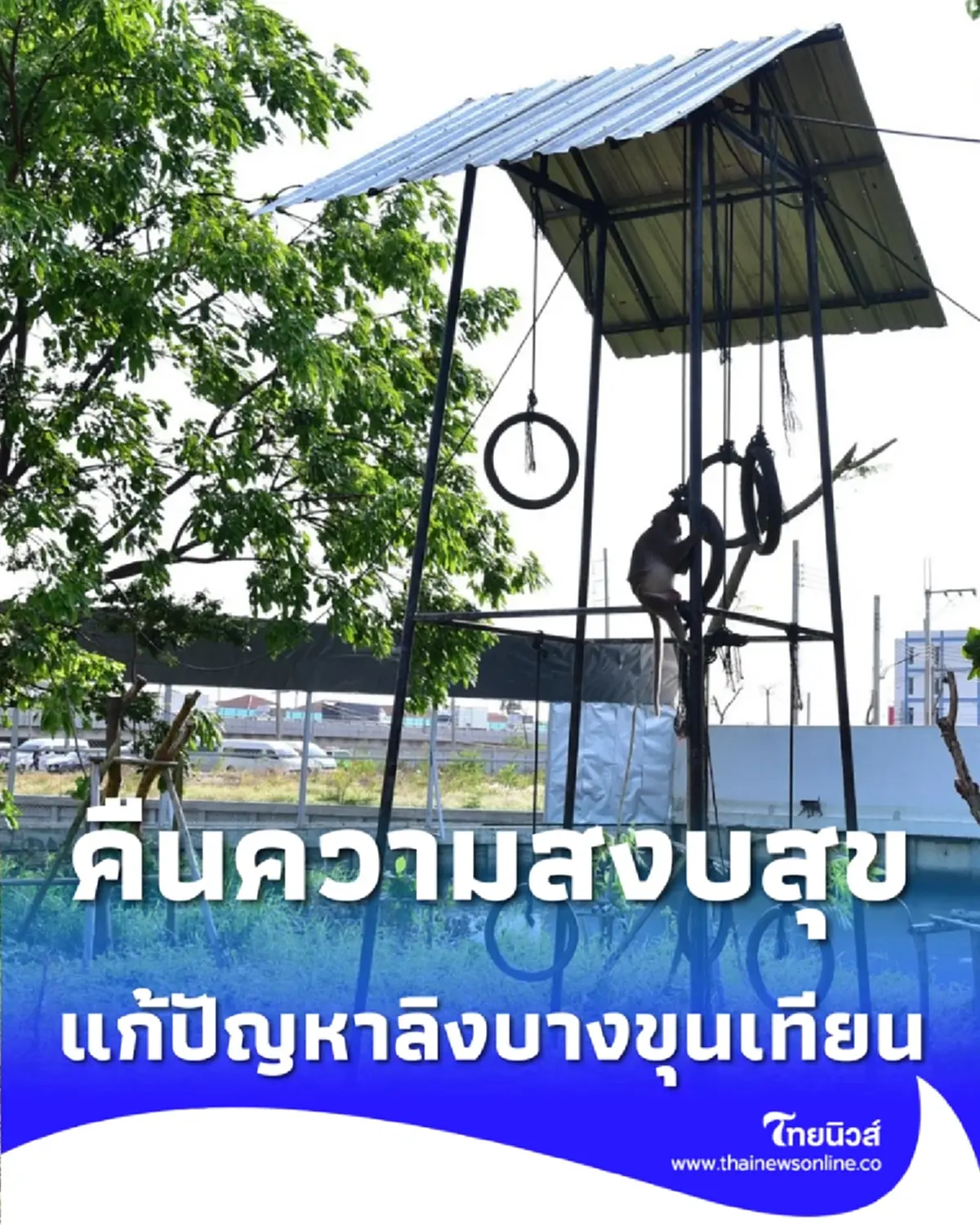 กทม. ลุยแก้ลิงบางขุนเทียน จัดโซนนิ่ง-สร้างบ้านใหม่ 12 ไร่