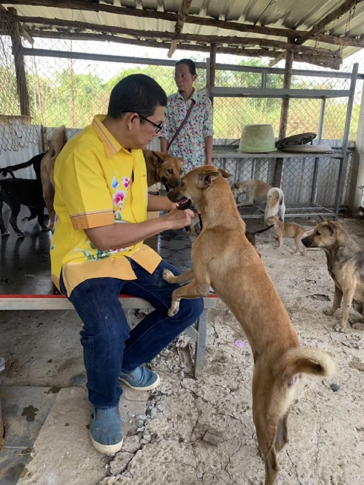 20 ปีทำด้วยใจ นายกปากแควทุ่มเงินส่วนตัวเปิดศูนย์ดูแลหมาจร