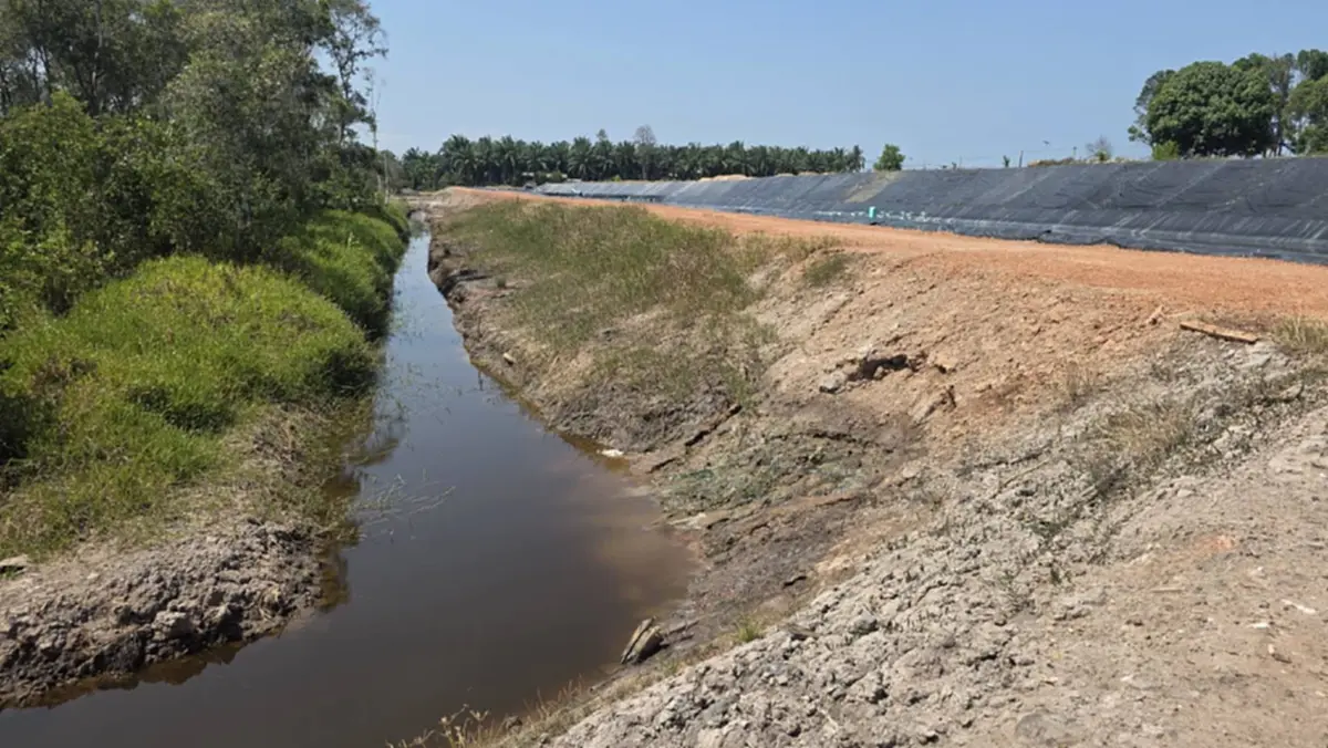 3 สส.ชุมพรบุกแฉฟาร์มกุ้งนายทุน ลอบปล่อยน้ำเสียทำป่าพรุพังพินาศ