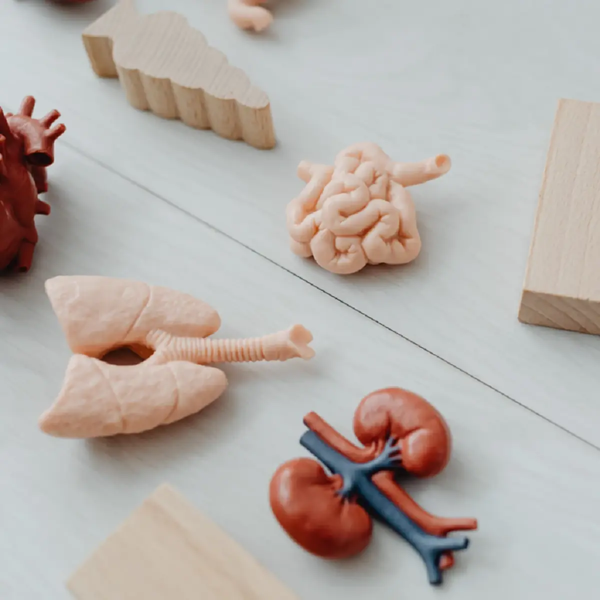 ยอดป่วยทะลุล้าน! 5 กลุ่มเสี่ยงโรคไต ไม่ตรวจระวังสายเกินแก้