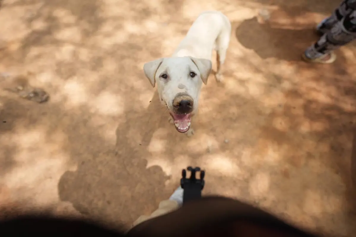 ภาพ @นายสมประสงค์ โภชน์พันธุ์