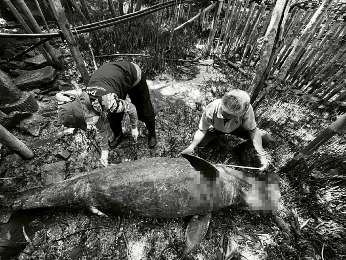 น่าเศร้า เปิดผลชันสูตรซาก เจอแล้วสาเหตุเสียชีวิตสุดสลด