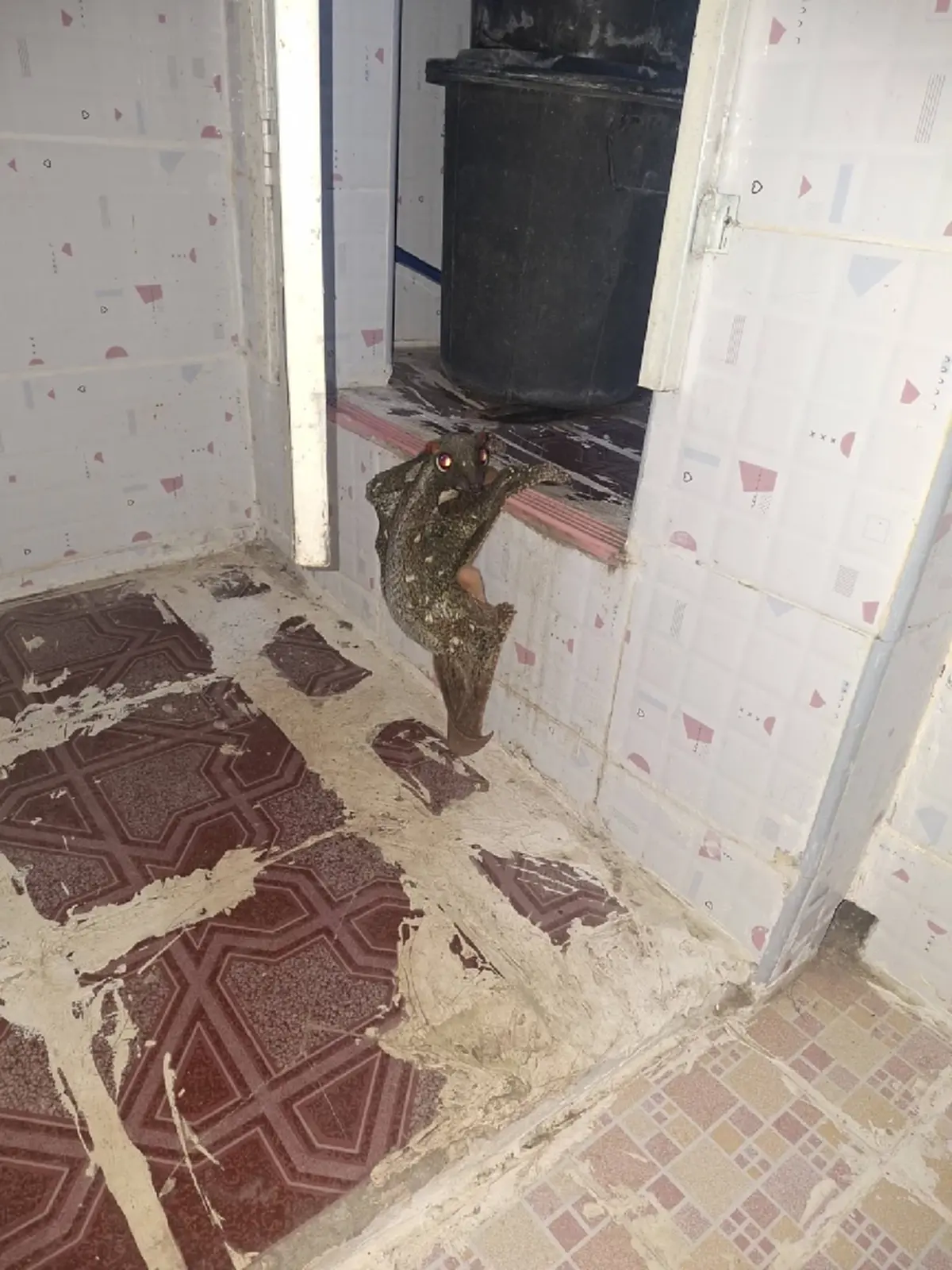 หนุ่มโพสต์ถาม "นี่ตัวอะไร" สุดท้ายรู้ความจริง ทำคนแชร์สนั่น 