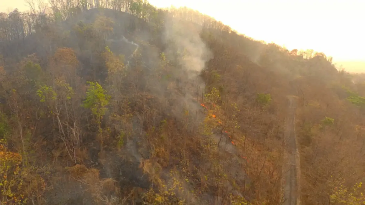 หลวงพ่อหนักใจ! ชาวบ้านเผาป่าหาผักหวาน ทำดอยม่วงคำวอด 60 ไร่