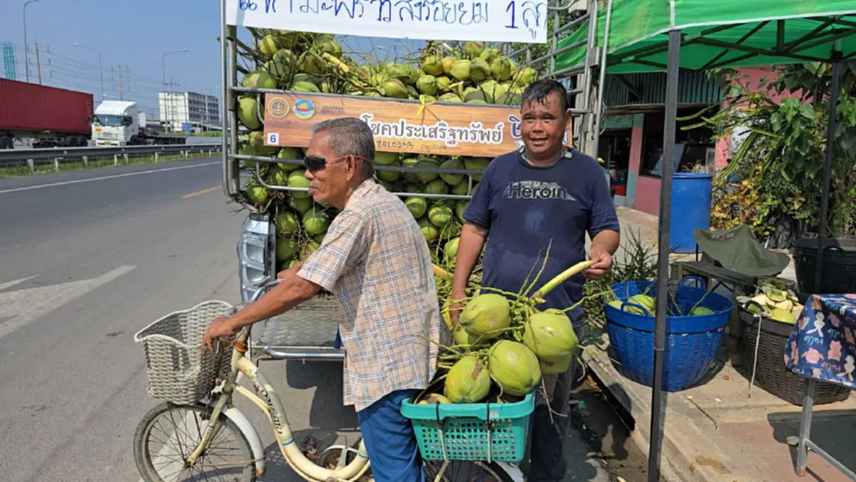 น้ำใจงาม! เจ้าของสวนมะพร้าวบ้านแพ้ว แจก 1,500 ลูก แลก "1 รอยยิ้ม"