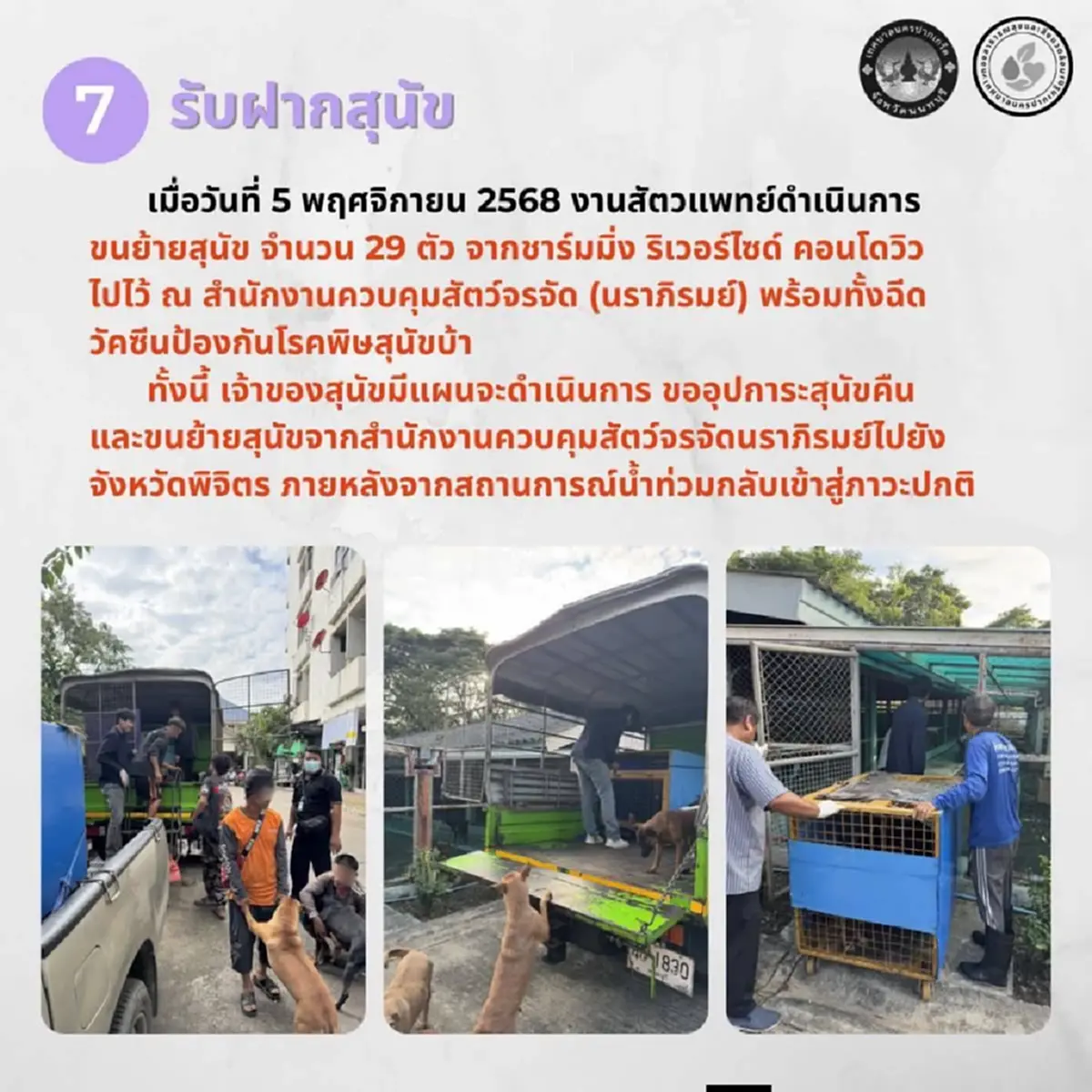 ความจริงอีกด้าน ป้าเลี้ยงหลังอาน 78 ตัวในคอนโด สงสารน้องหมามาก