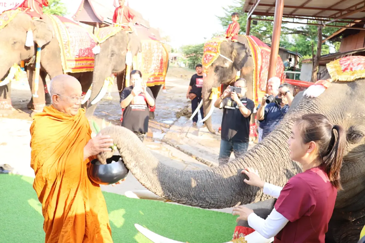 เชิดชูเกียรติช้างไทย! จัดบวงสรวง-เลี้ยงโต๊ะจีนผลไม้ชุดใหญ่