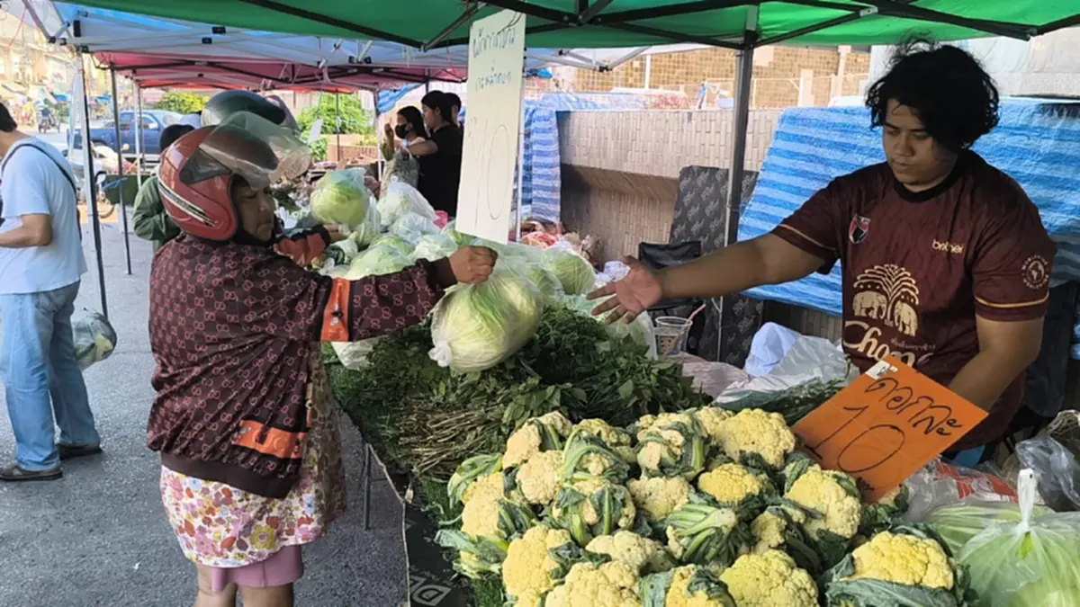 ถูกจริง! ผักถุงละ 10 บาท ชาวพิษณุโลกแห่ซื้อสวนกระแสน้ำมันแพง