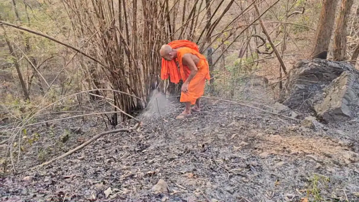 หลวงพ่อหนักใจ! ชาวบ้านเผาป่าหาผักหวาน ทำดอยม่วงคำวอด 60 ไร่