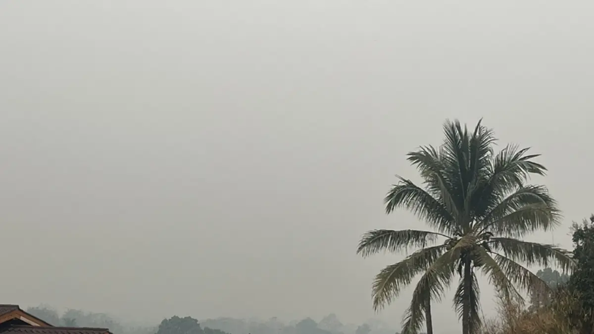 วิกฤตแม่ฮ่องสอน! ฝุ่นพิษพุ่งปรี๊ด 300 ชาวบ้านเลือดกำเดาไหล