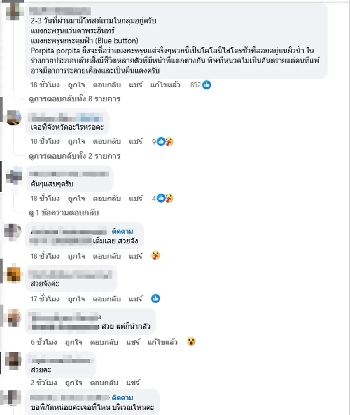 อย่าจับเด็ดขาด ตัวสีฟ้าปริศนาโผล่เกลื่อนหาด โดนแล้วรู้เรื่อง