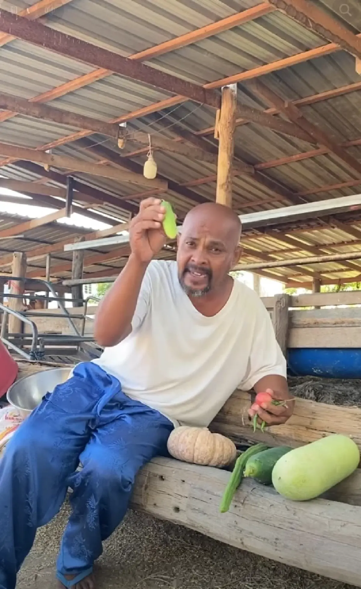 "หมอปลา" ฟาดไม่ไว้หน้า สว.ชวนปลูกผักเลี้ยงไก่ ฟังแล้วมีสะดุ้ง