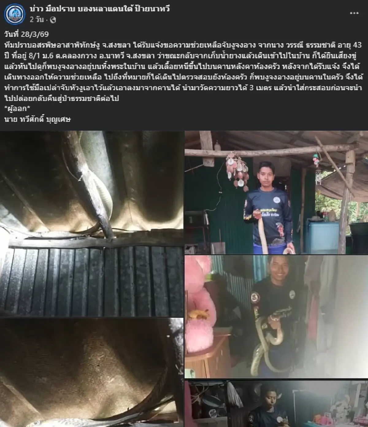 แห่ส่อง งูจงอางขดตัวหิ้งพระ ชาวบ้านจับจ้องเลขบ้านลุ้นโชค