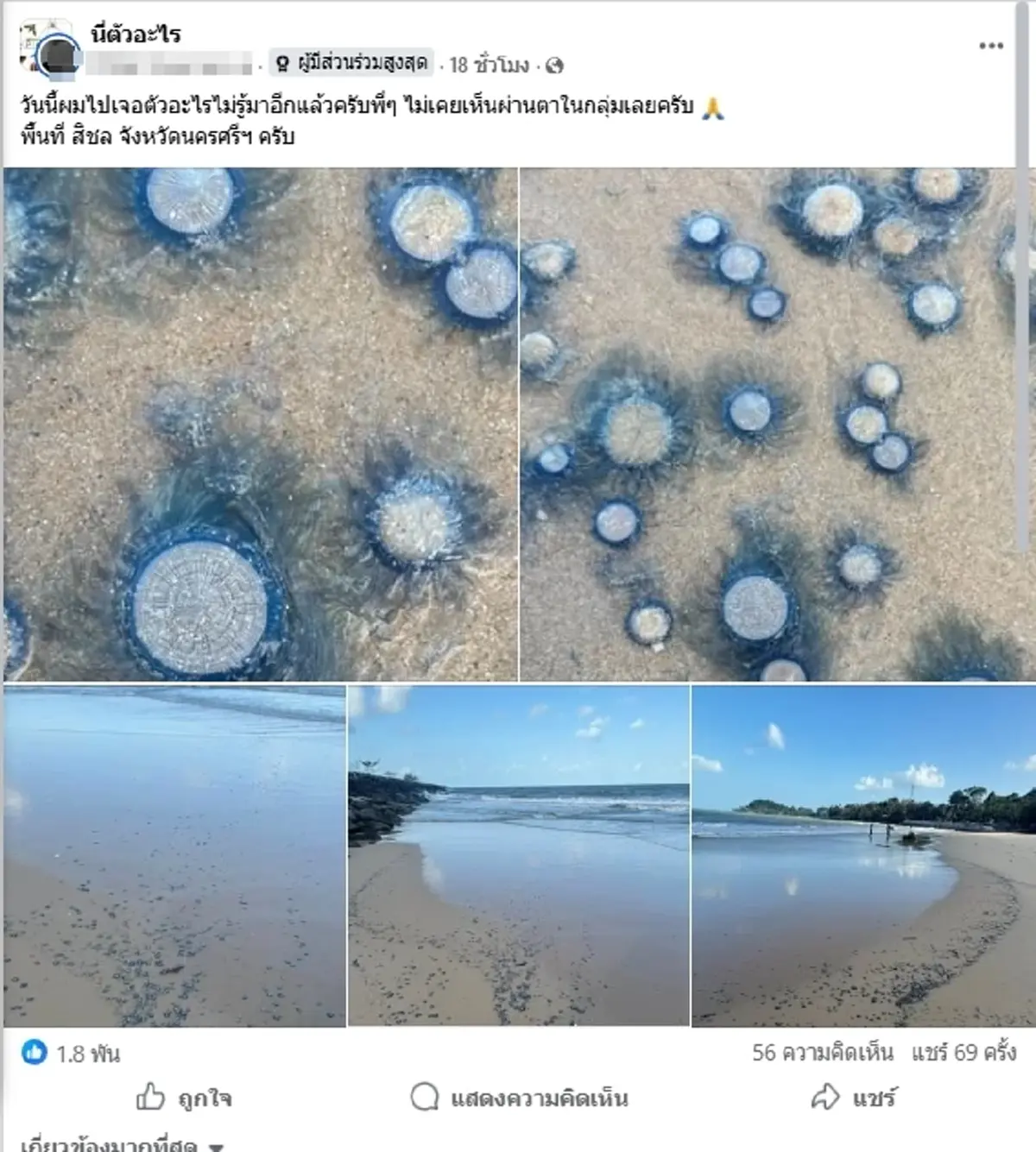 อย่าจับเด็ดขาด ตัวสีฟ้าปริศนาโผล่เกลื่อนหาด โดนแล้วรู้เรื่อง