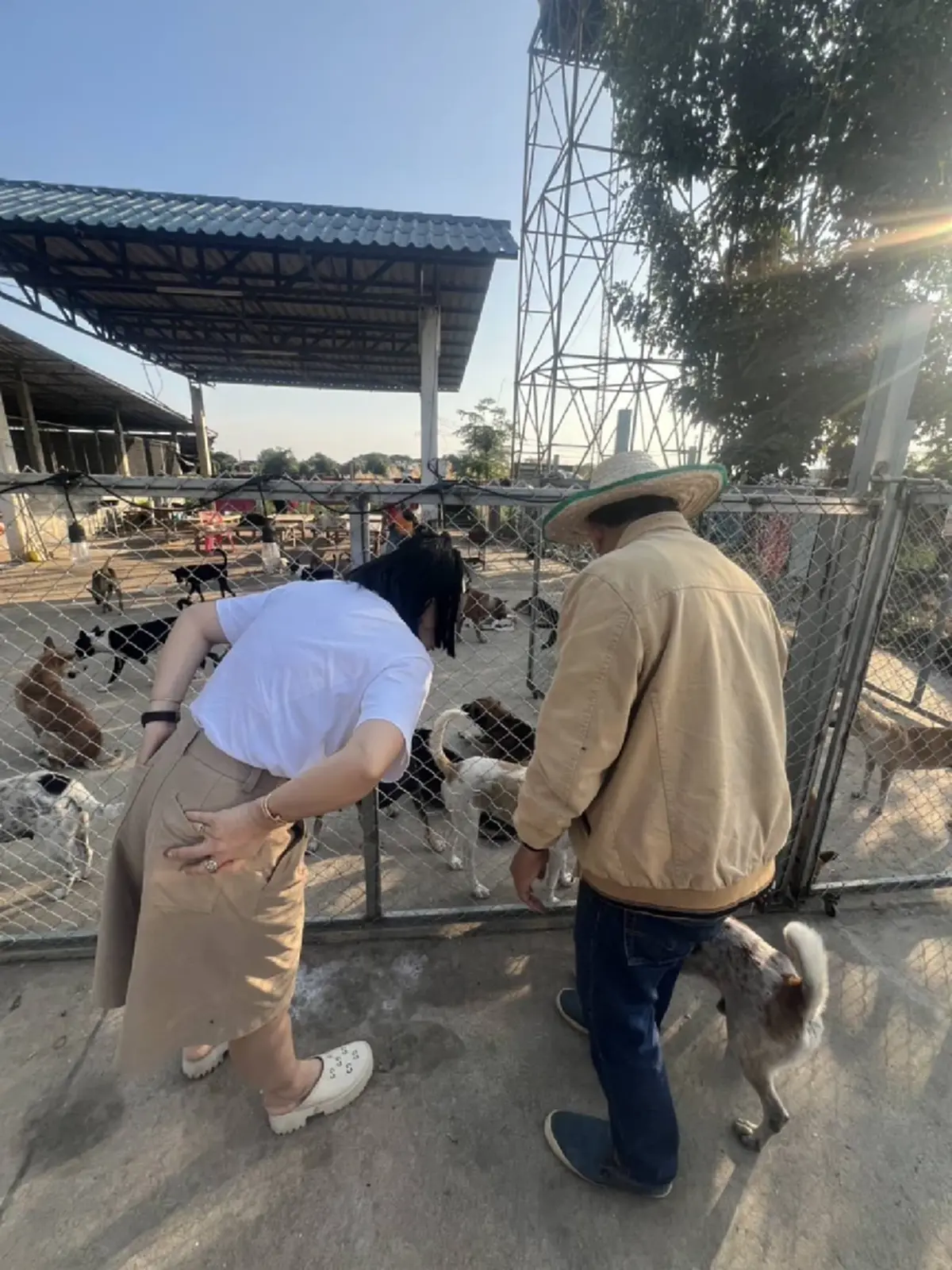 20 ปีทำด้วยใจ นายกปากแควทุ่มเงินส่วนตัวเปิดศูนย์ดูแลหมาจร