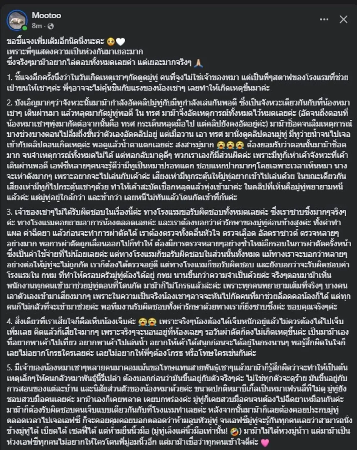 รู้แล้วทำไม "มู่ทู่" โดนกัด เจ้าของเล่านาทีเศร้า คนแห่ส่งกำลังใจ 
