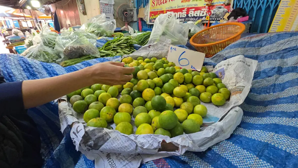 อุทัยฯ มะนาวพุ่ง 6 บาท ผักสดราคาพุ่งพรวด หวั่นน้ำมันขึ้นซ้ำเติม