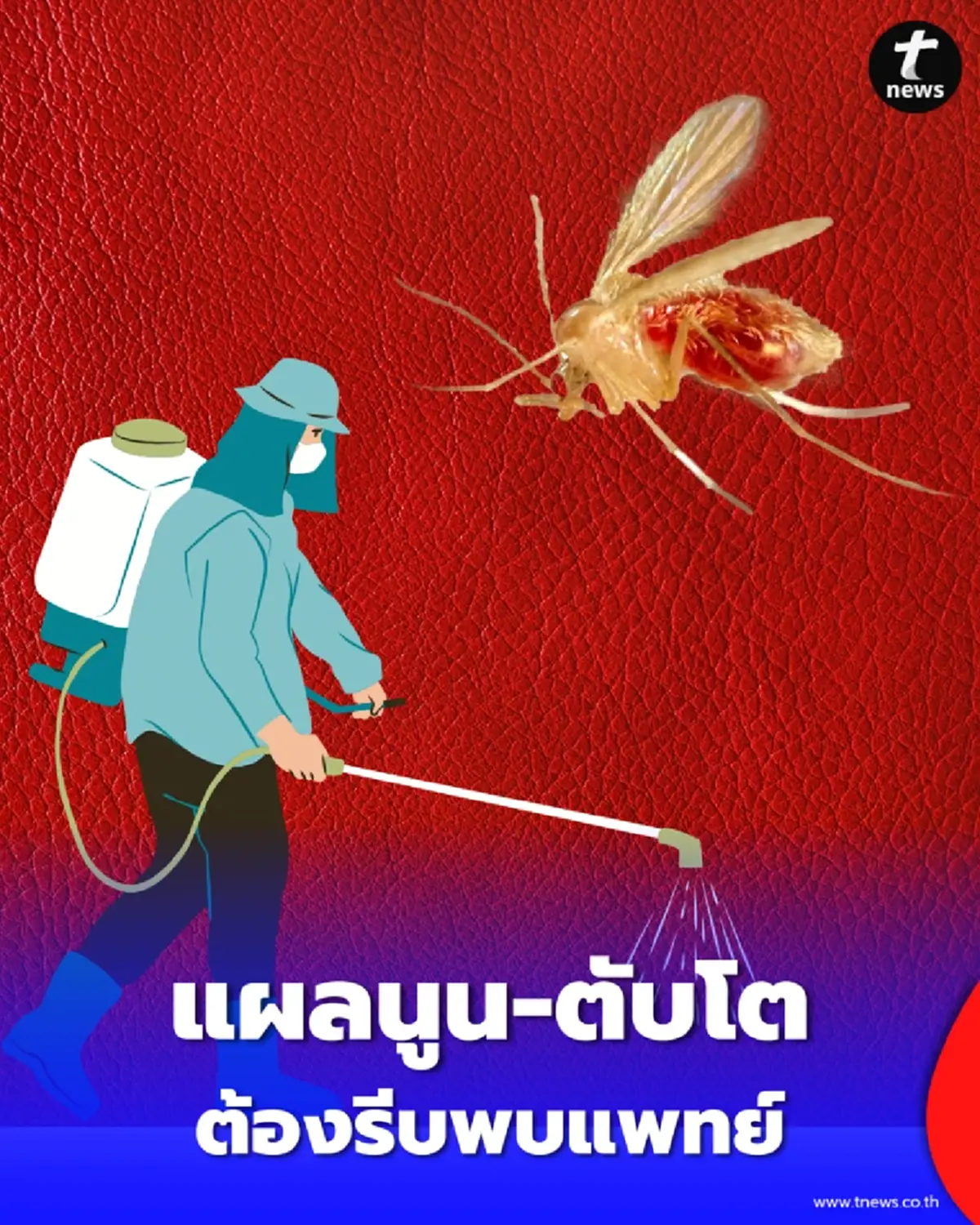 รู้จัก โรคลิชมาเนีย ภัยแมลงตัวจิ๋ว แผลนูน-ตับโต ต้องรีบพบแพทย์