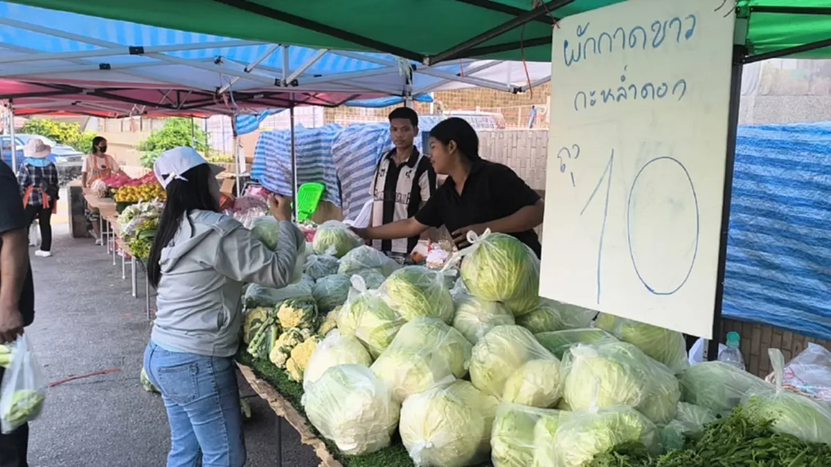 ถูกจริง! ผักถุงละ 10 บาท ชาวพิษณุโลกแห่ซื้อสวนกระแสน้ำมันแพง