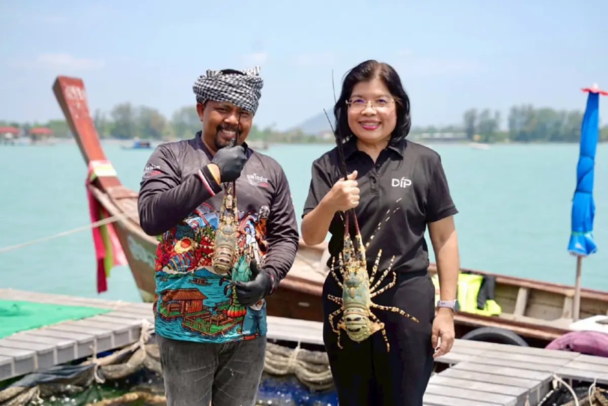 กรมทรัพย์สินทางปัญญา บุกแพ"กุ้งมังกร 7 สีภูเก็ต"ปักหมุดแลนด์มาร์กท่องเที่ยวเชิงอาหาร