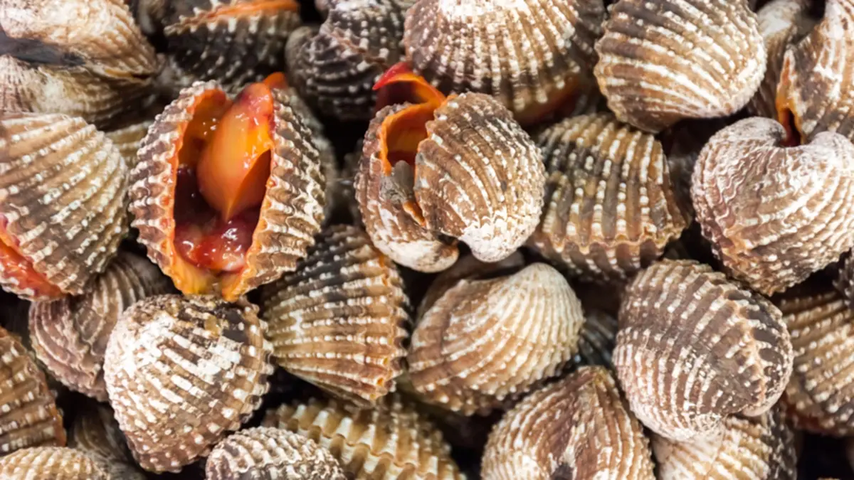 ไขข้อสงสัย “หอยแครง-หอยคราง” ต่างกันยังไง ดูยังไงไม่ให้ซื้อผิด