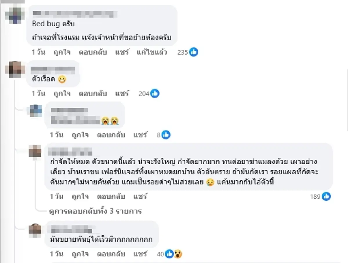 ขนลุก หนุ่มเจอแมลงบนที่นอน ชาวเน็ตฟันธง งานนี้เรื่องใหญ่