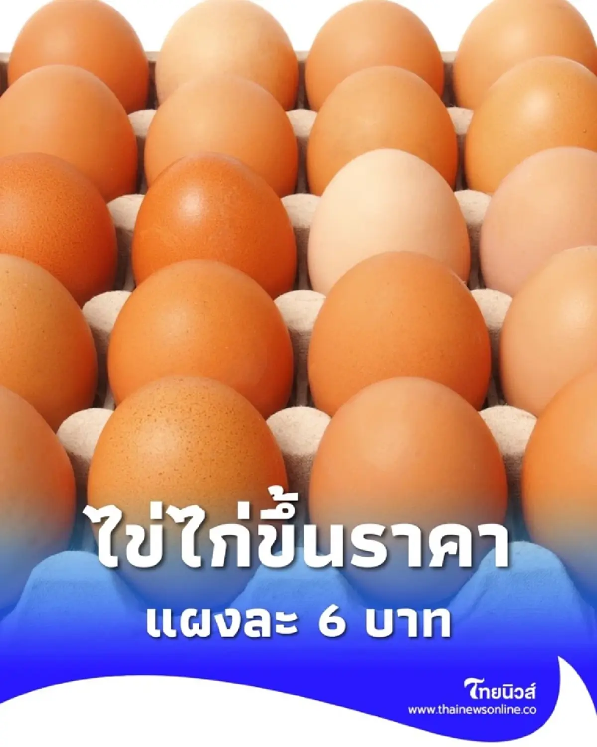 เริ่มวันจันทร์ที่ 16 มี.ค.นี้ แจ้งปรับราคาไข่ไก่ขึ้น แผงละ 6 บาท