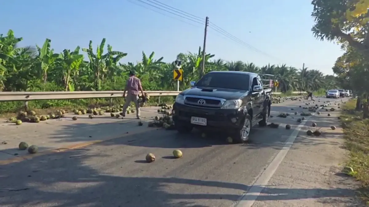 มะพร้าวเกลื่อนถนน! ชาวบ้านช่วยเก็บ หวั่นอุบัติเหตุ วอนรับผิดชอบ