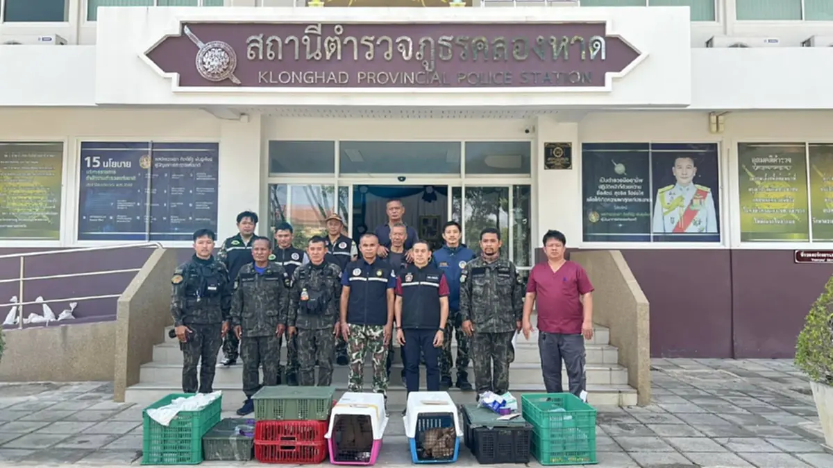 พบสัตว์ป่า 366 ตัวซุกป่าอ้อยสระแก้ว คาดแก๊งลักลอบทิ้งหนีผิด