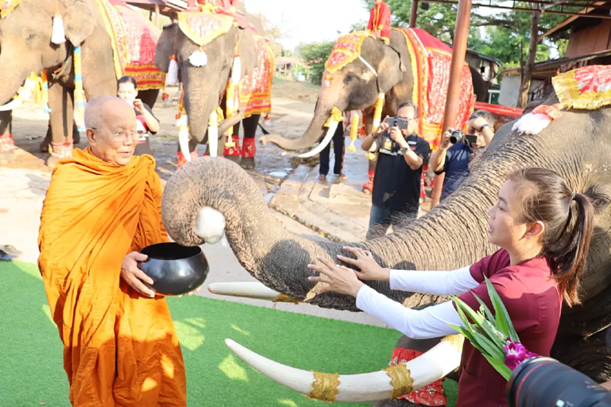 เชิดชูเกียรติช้างไทย! จัดบวงสรวง-เลี้ยงโต๊ะจีนผลไม้ชุดใหญ่
