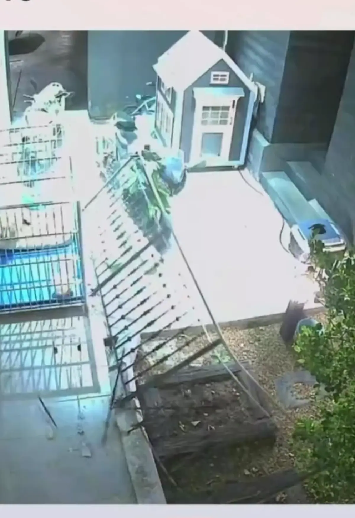 นาทีระทึก บ้านหรู 50 ล้าน ดีเจต้นหอม พังกลางดึก ลั่นมันผิดที่ใคร