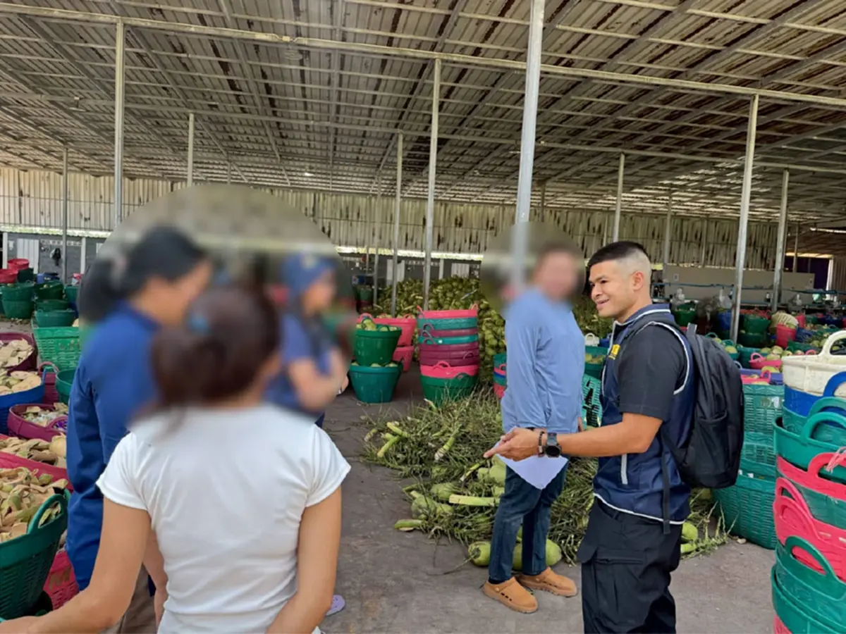 ไม่แปลกใจ มะพร้าวไทยพัง เปิดโปงแผนกินรวบ ล้งนอมินีจีน กดราคา 2 บาท