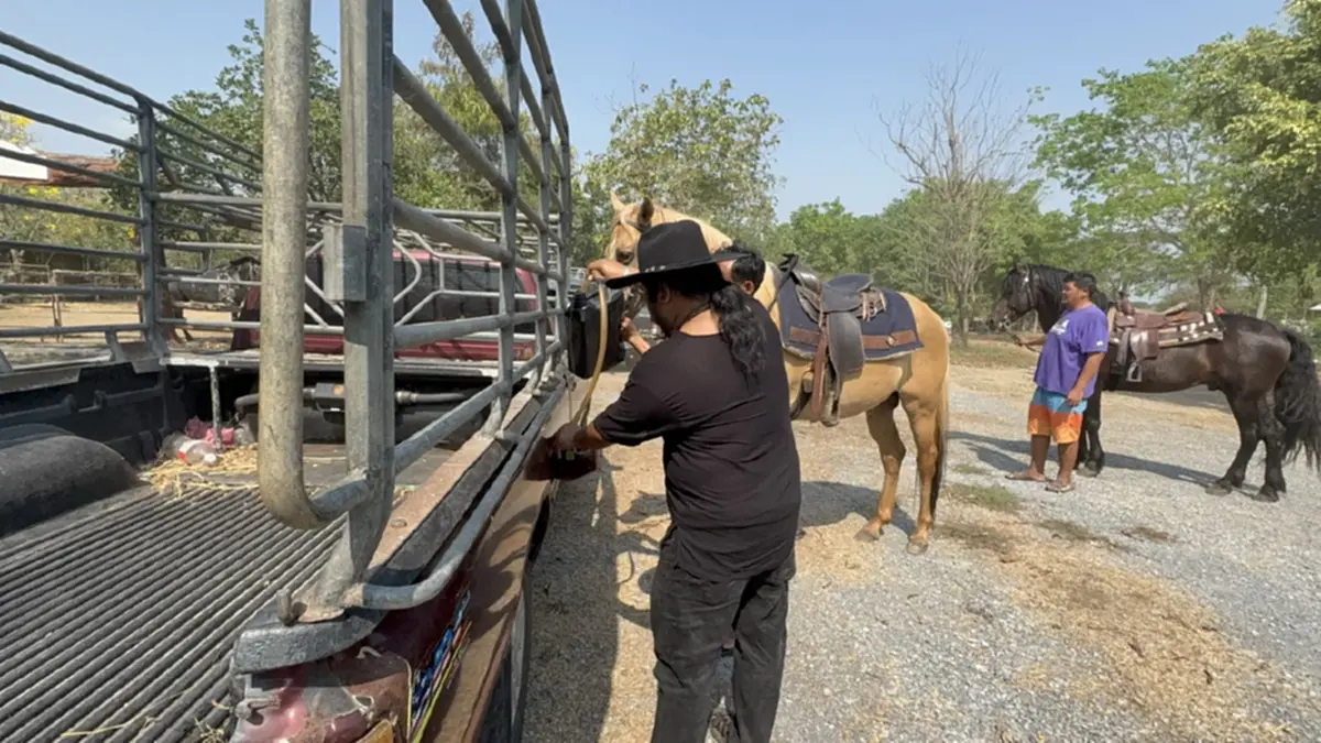 อาจารย์สักยันต์ชื่อดังควบม้าคู่ใจตระเวนหาซื้อน้ำมันปั๊มหลอด