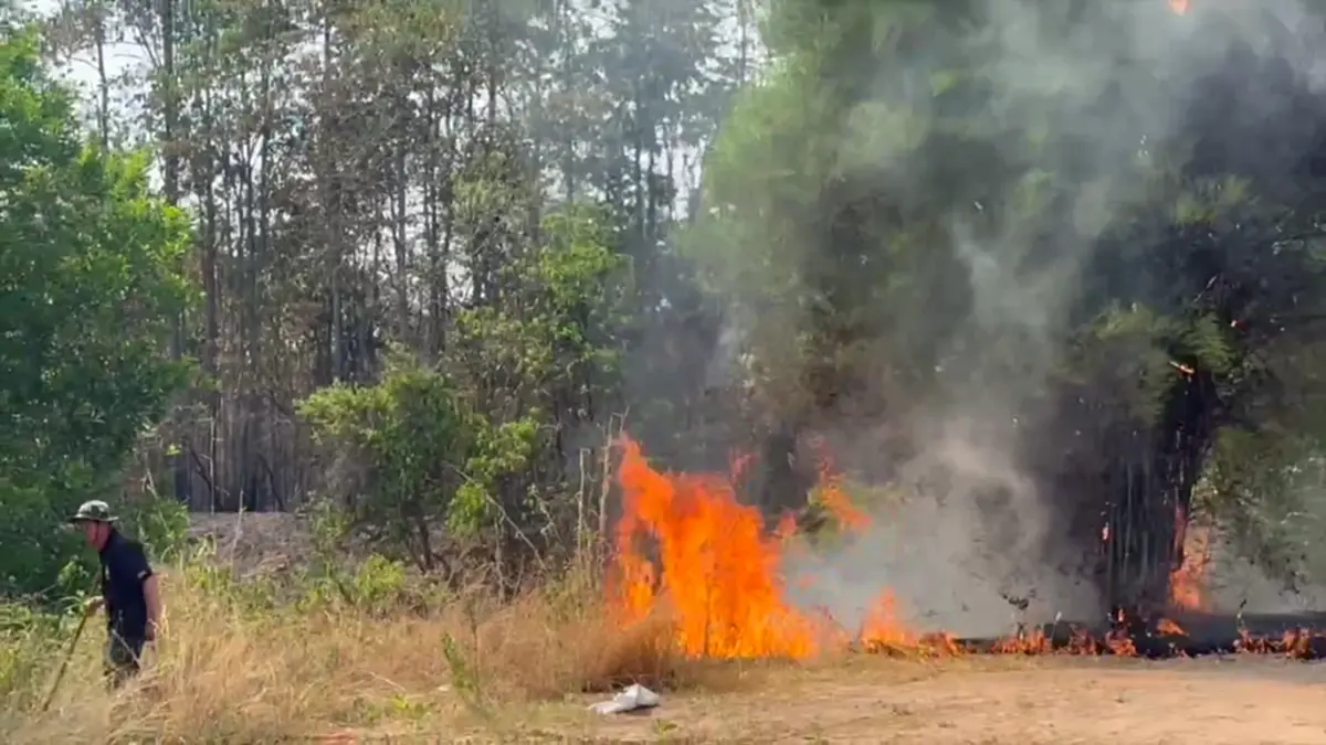 ไฟไหม้ป่าโคกหินลาดวอด 500 ไร่ สัตว์ป่าหนีตาย-คาดมือเผาหาของป่า