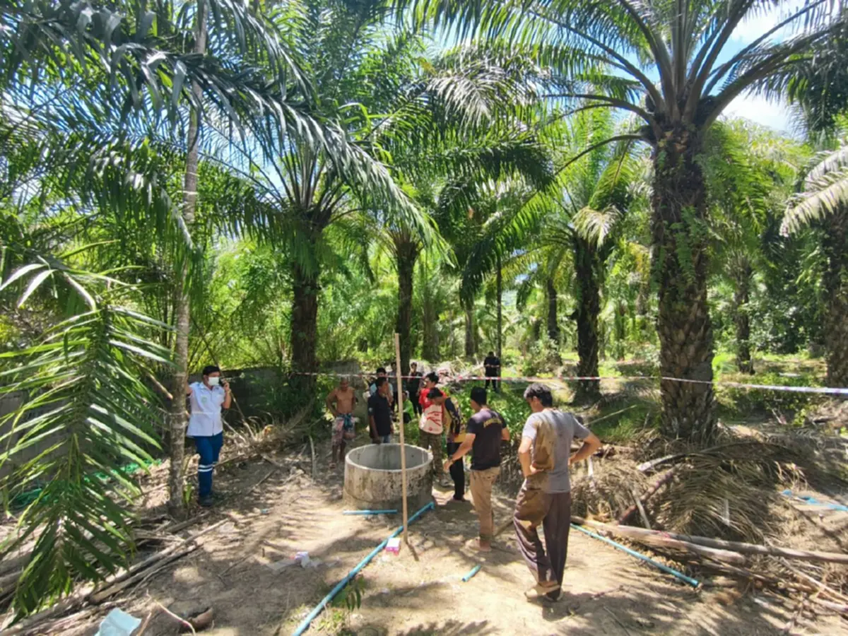 โศกนาฏกรรม ชาวพังงาเสียชีวิตหมู่ 4 ศพ กลางสวนปาล์ม สาเหตุน่าสลด