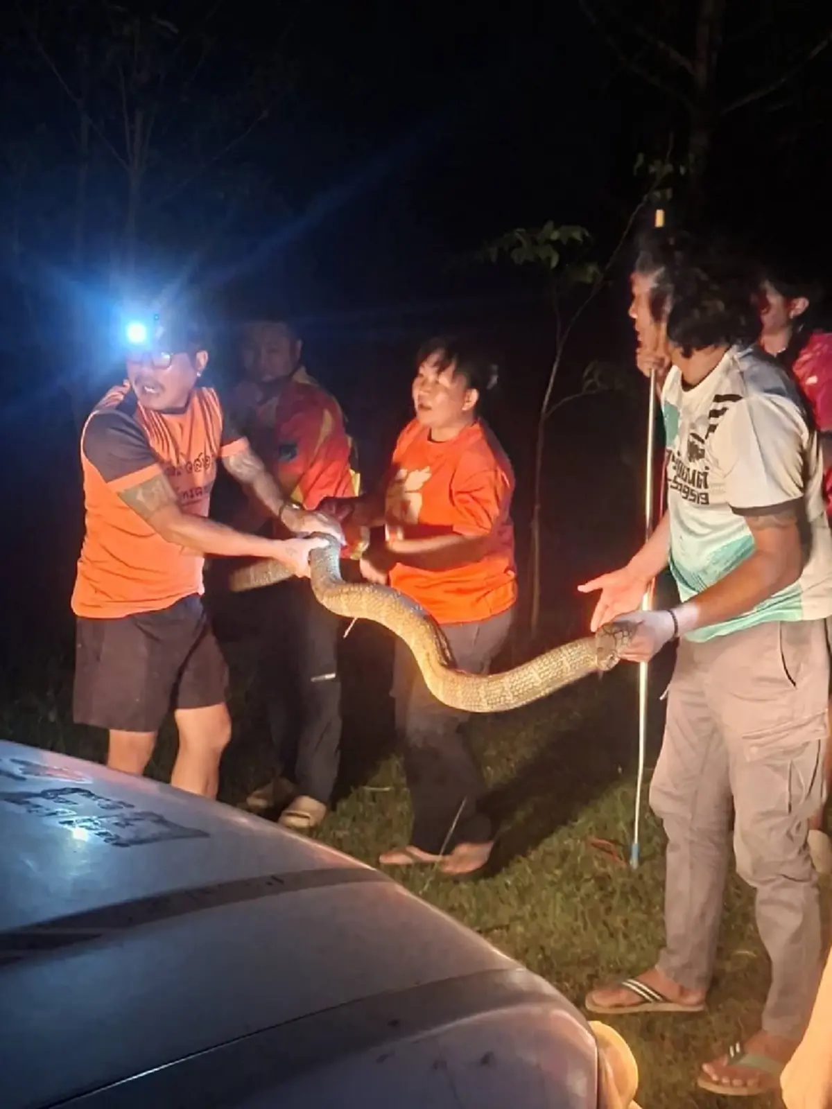 ส่องเลขที่บ้าน งูจงอางยักษ์ 4 เมตร บุกเลื้อยเข้าบ้าน ลุ้นจับระทึก 