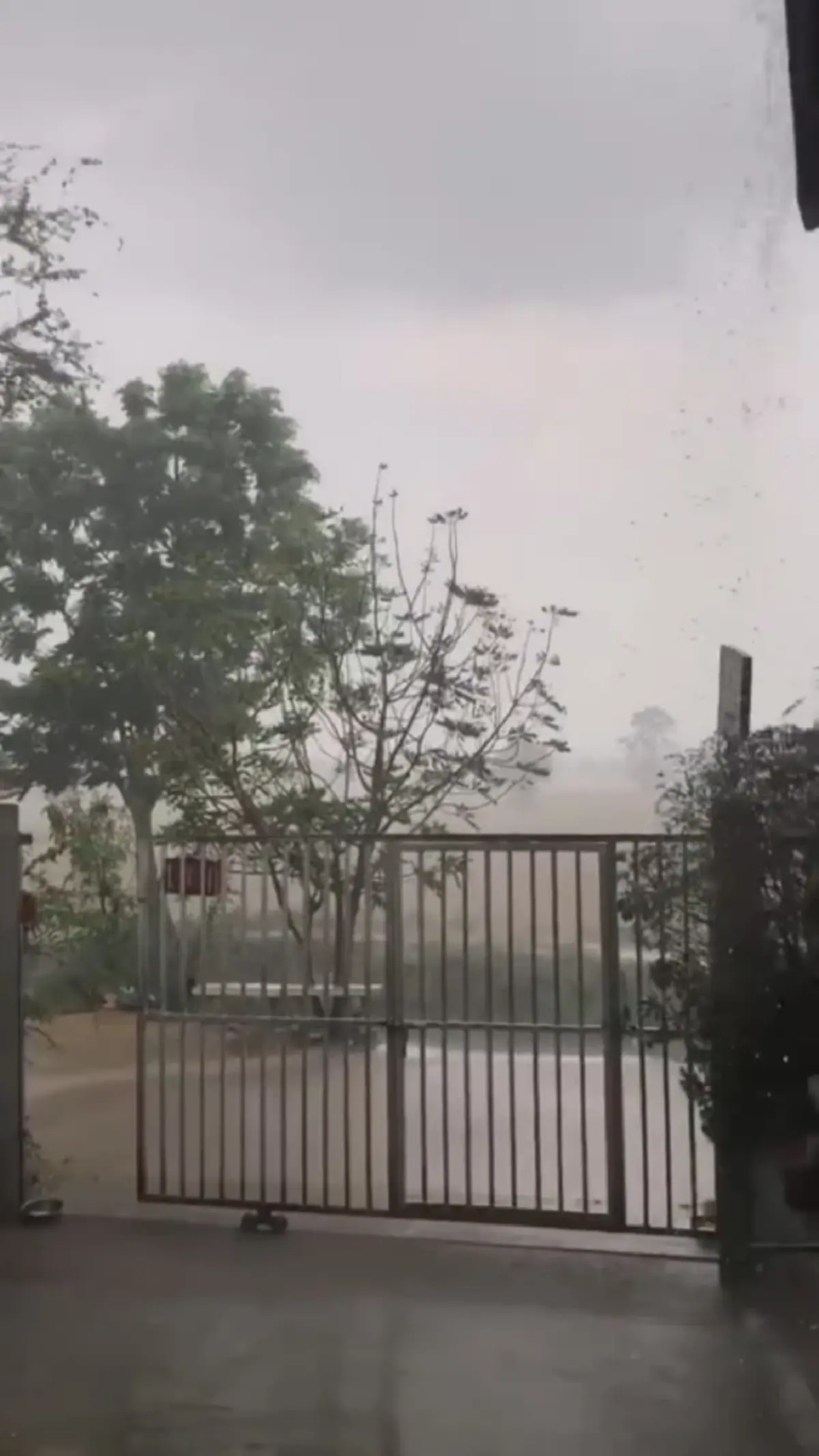 ฝนถล่มโคราช นักล่าอึ่งอ่างเฮ! ออกล่าหลังพายุ สร้างรายได้งาม