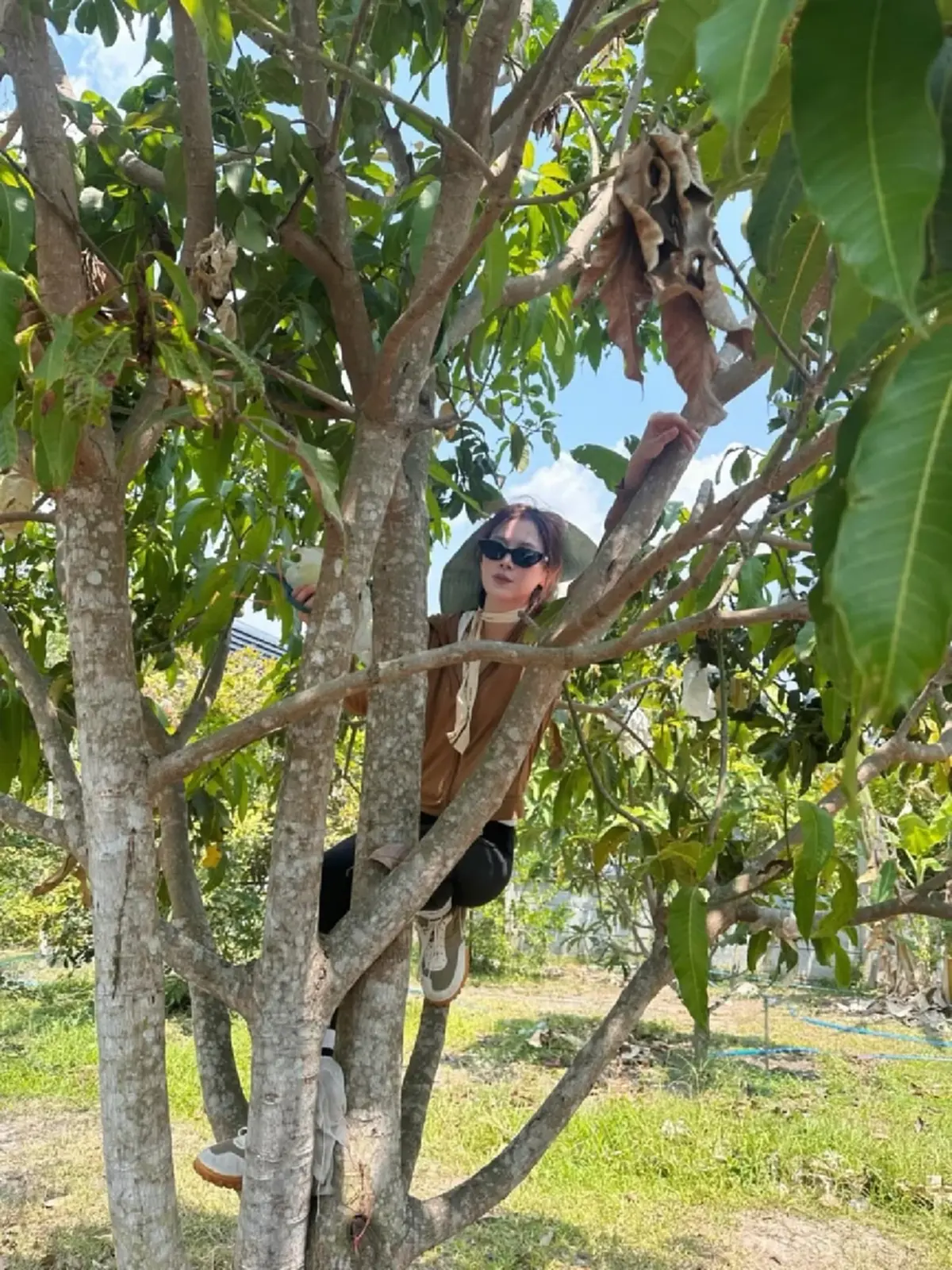 ใบเฟิร์น พิมพ์ชนก ลุยปีนต้นมะม่วง โชว์สกิลสุดคล่อง ชาวเน็ตแห่ชม