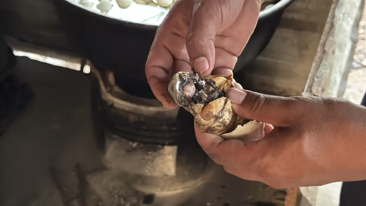 ทลายโกดังชายแดนอรัญฯ! รวบ 3 เอเย่นต์ ลอบขน "ไข่เป็ด-สินค้าเถื่อน"