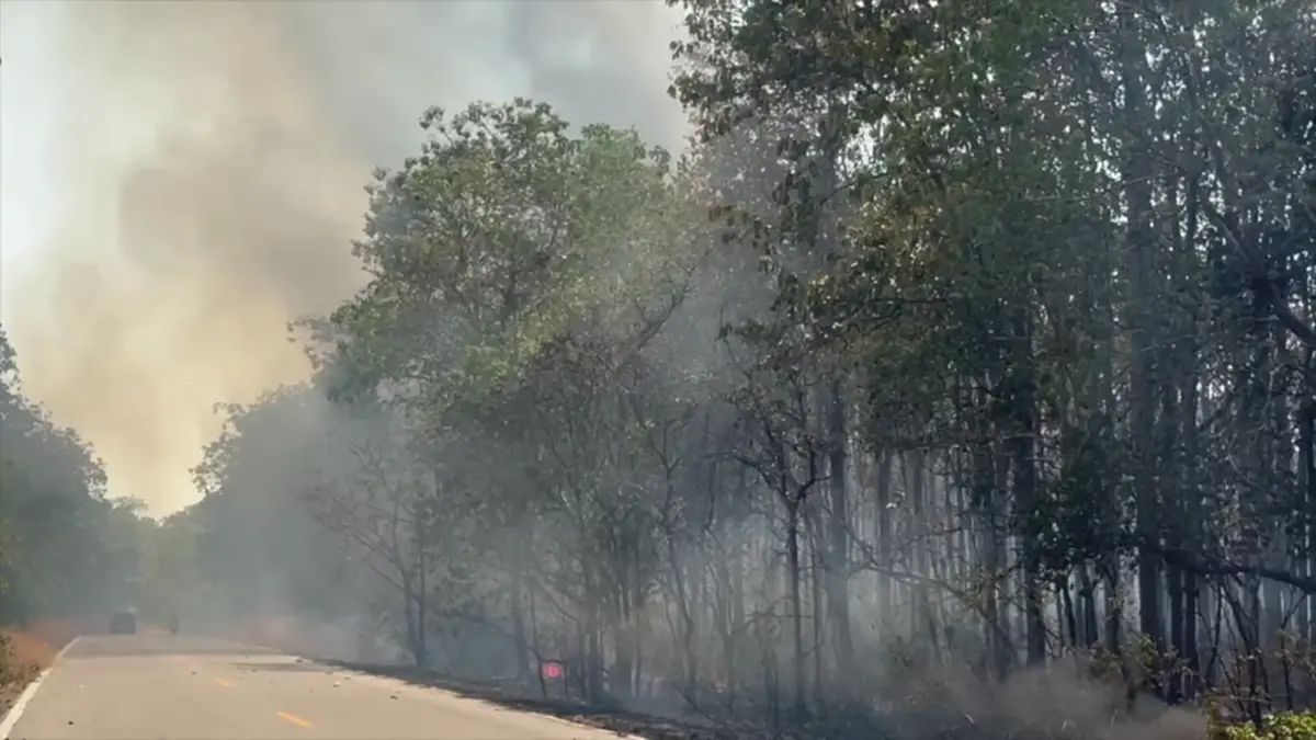 ไฟไหม้ป่าโคกหินลาดวอด 500 ไร่ สัตว์ป่าหนีตาย-คาดมือเผาหาของป่า