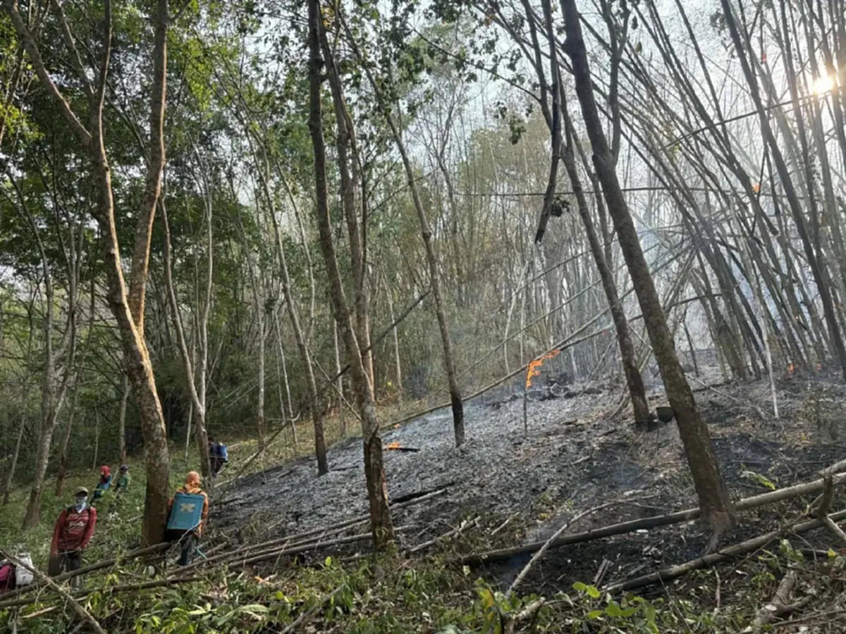 เลยวิกฤติหนัก! PM2.5 พุ่งแดงต่อเนื่อง ไฟป่าปะทุวันเดียว 54 จุด