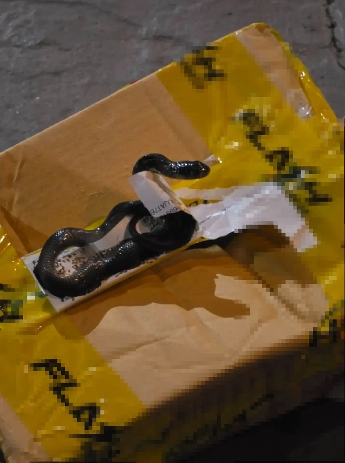 สาวแกะพัสดุ เจอตัวปริศนาติอยู่ในกล่อง รู้ตัวอะไรยิ่งขนลุก!