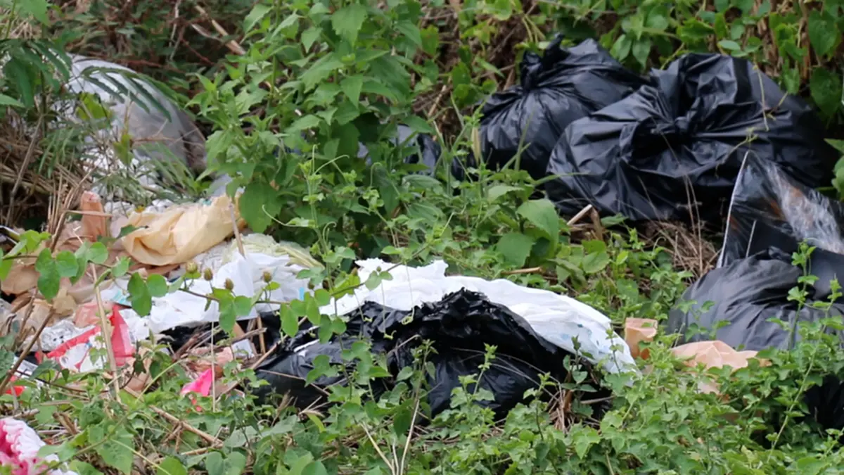 ชาวบ้านหล่มสักโวยขยะเกลื่อนจุดกลับรถ ไร้เจ้าหน้าที่รับเรื่อง