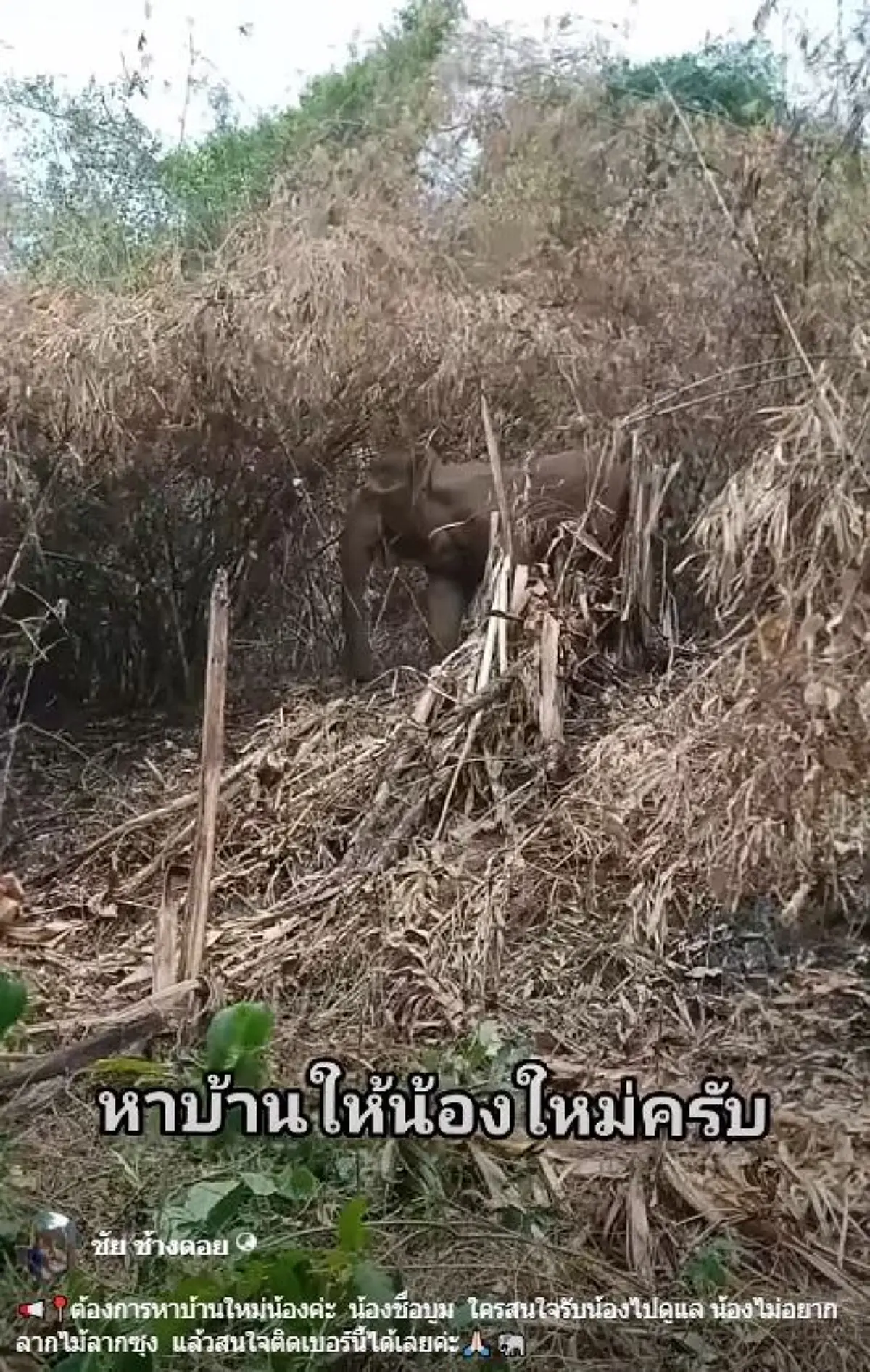 เอาแล้วไง หนูนา กัญจนา ไม่เฉย เตือนแรงๆถึงเจ้าของ สีดอบูม