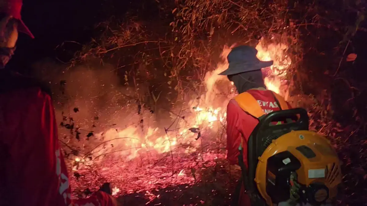 'พระครูอ๊อด' นำทีมลุยดับไฟป่า โพสต์เศร้าเจ็บปวดรักษาป่าไม่ได้