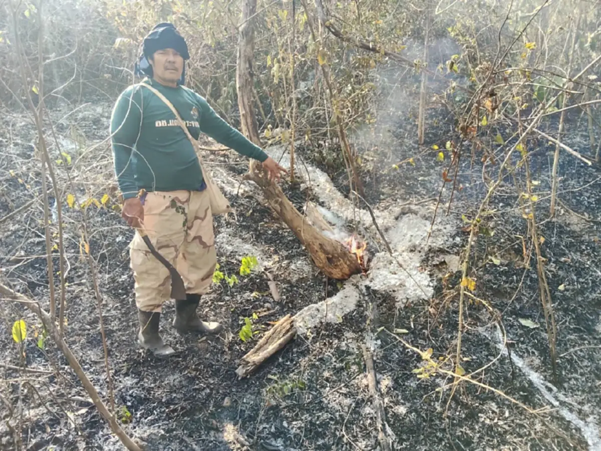 วิกฤติป่ามรดกโลก! ไฟไหม้ "แก่งกระจาน" เสียหายกว่า 1.1 หมื่นไร่